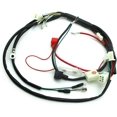 FXYDJMotor Wiring Loom Harness Kick Start Kit for 50cc 70cc 90cc 110cc
