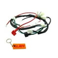 FXYWiring Harness Loom for Zongshen 190cc Electric Start Engine Pit