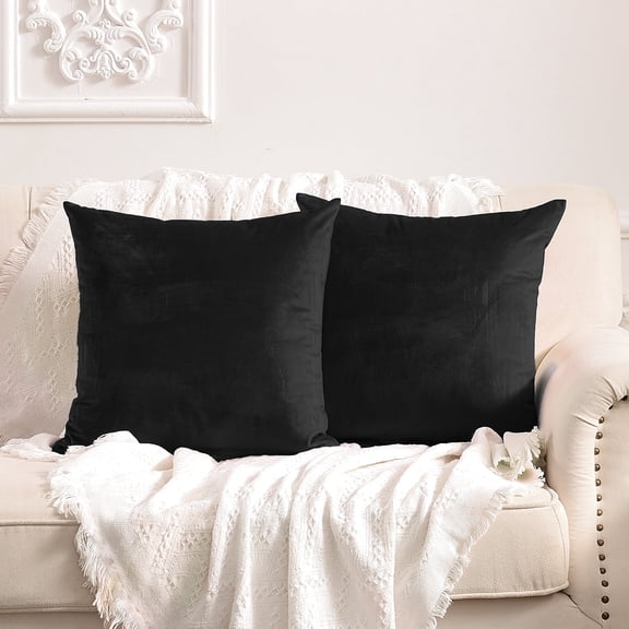FY FIBER HOUSE Pack of 2 Velvet Throw Pillow Covers Decorative Pillowcase Soft Solid Cushion Cover, 16 x 16 Inch, Black