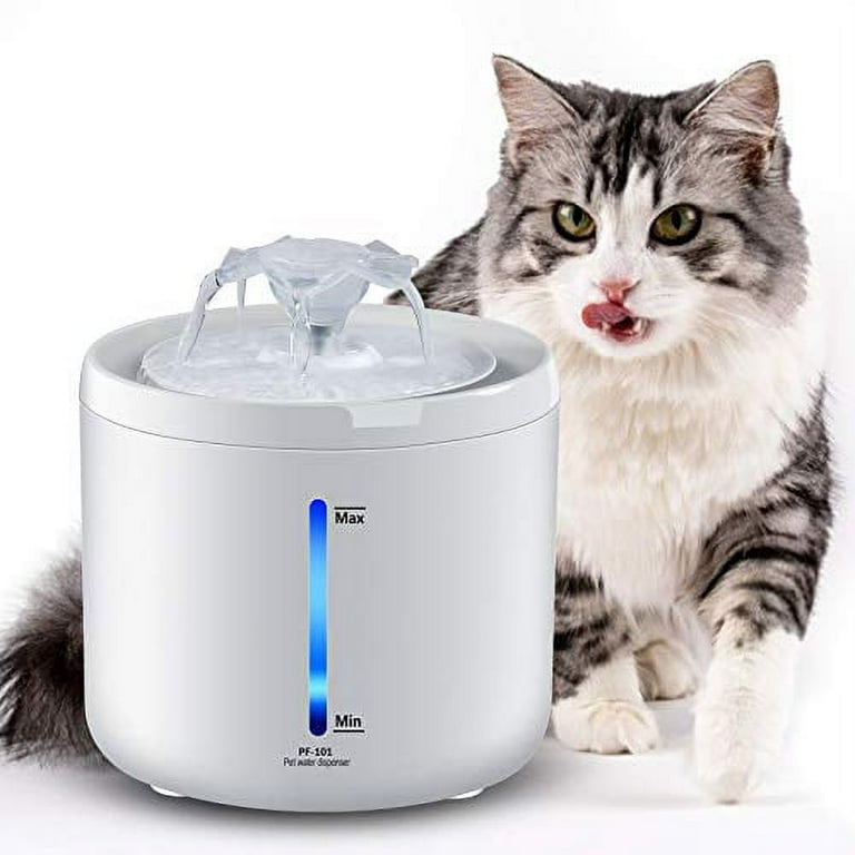 Cat drinking fountain pets at home top
