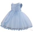 thumbnail image 1 of FYDUU Baby Girls Dress Bowknot Pageant Party Flower Wedding Dresses Flower Girl Dress Ruffle Lace Princess Formal Gown 0-3 Months, 1 of 3