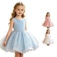 thumbnail image 1 of FYDUU Birthday Dress for Toddler Girls Sequins Pageant Tulle Tutu Dresses Bowknot Princess Gown Formal Wedding Flower Girl Dress 12-18 Months, 1 of 9