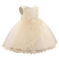 thumbnail image 1 of FYDUU Flower Girls Party Dress Girls Dress Baby Dress Bowknot Christening Gown Everyday Wear Kids Clothing 0-3 Months, 1 of 3