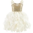 thumbnail image 1 of FYDUU Little Girls Halloween Dress Girls Party Dress Sleeveless Sequin Dress Pleated Princess Dresses Birthday Parties Fashion Clothes 8-10 Years, 1 of 4
