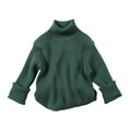 thumbnail image 1 of FYEGRE Acrylic Kids Sweater Neutral Kids Winter Furry Turtleneck Sweater Top Cozy Warm Soft Casual Outfit For Boys And Girls Dark Green 18-24 Months, 1 of 4