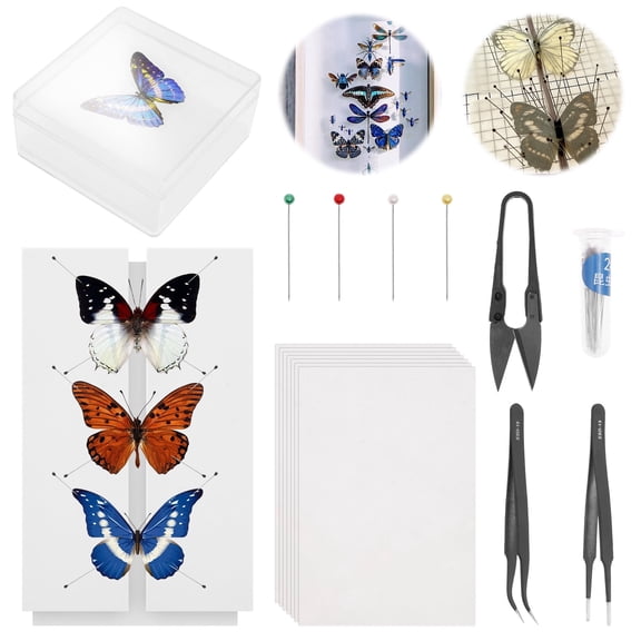 FYJUCPA Butterfly Specimen Making Tool Kit, Entomology Kit with Wing Mounting Board & Display Case, for Biology Hobbyist & Collectors