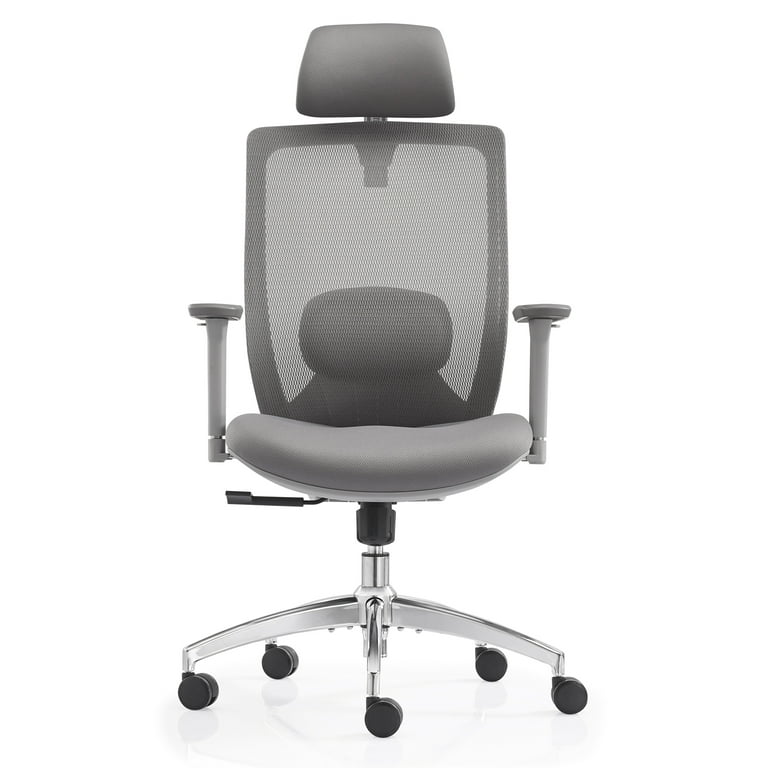 https://i5.walmartimages.com/seo/FYLICA-Ergonomic-Office-Chair-Big-Tall-Adjustable-Headrest-3D-Armrest-Lumbar-Support-PU-Wheels-Swivel-Computer-Task-Chair-Office-Tilt-Function-Gray_b7439885-145a-401a-b27c-0eab9f306e40.f4df5c3de7d566345cc5efc837045b33.jpeg?odnHeight=768&odnWidth=768&odnBg=FFFFFF