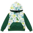 thumbnail image 1 of FYMNSI Toddler Boy Hooded Sweatshirts Color Block Dinosaur Printed Hoodie with Pocket Boys Winter Clothes 12-18 Months, 1 of 8