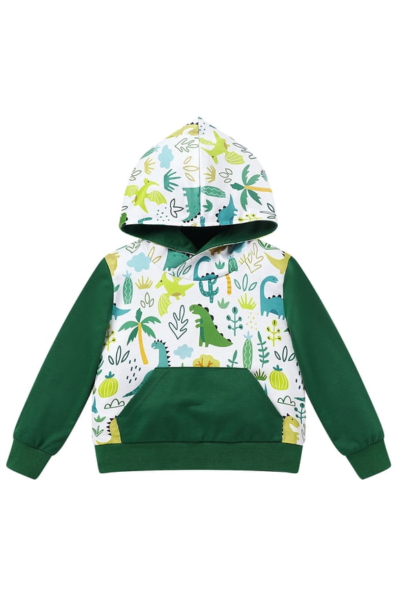 Toddler Boy Hooded Sweatshirts Color Block Dinosaur Printed Hoodie with Pocket Boys Winter Clothes 12-18 Months