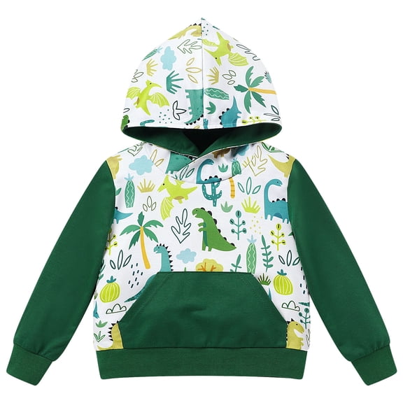 FYMNSI Toddler Boy Hooded Sweatshirts Color Block Dinosaur Printed Hoodie with Pocket Boys Winter Clothes 4-5T