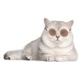 thumbnail image 1 of FYTPOV Cat Dog Sunglasses, Funny Pet Glasses, Classic Retro Sunglasses, Cute Dog Cat Cosplay Party Costume Photo Props Cosplay Glasses, 1 of 5