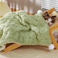 thumbnail image 1 of FYTPOV Dog Blanket, Pet Blanket for Bed Couch Sofa, Fluffy Cat Blanket for Cats Dogs, Double-Sided Dog Blanket for Couch, Throw Blankets, Green, 27.56x21.65 in, 1 of 5