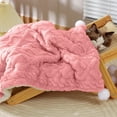 thumbnail image 1 of FYTPOV Dog Blanket, Pet Blanket for Bed Couch Sofa, Fluffy Cat Blanket for Cats Dogs, Double-Sided Dog Blanket for Couch, Throw Blankets, Pink, 19.69x14.17 in, 1 of 5