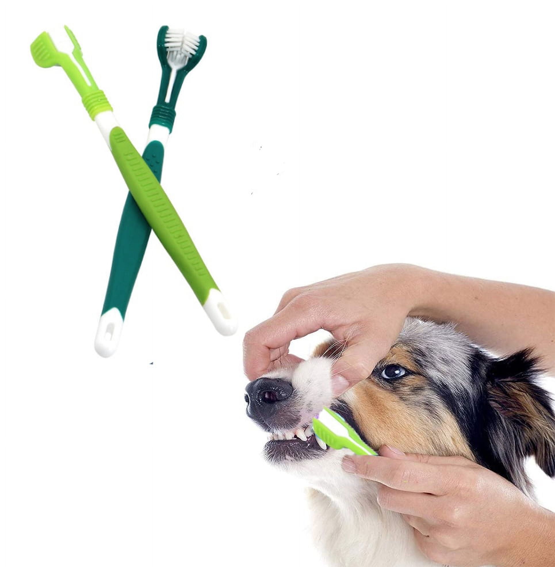 3 sided dog toothbrush discount