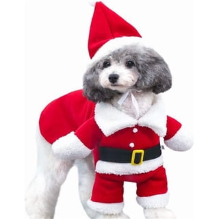 FZJUCX Christmas Dog Costume, Funny Santa Riding Pet Outfit, Holiday Cosplay Apparel for Small Dogs and Cats (5 Sizes)