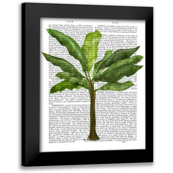 Fab Funky 12x14 Black Modern Framed Museum Art Print Titled - Banana Tree 1