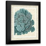 Fab Funky 12x14 Black Modern Framed Museum Art Print Titled - Blue Corals On VIntage Script e