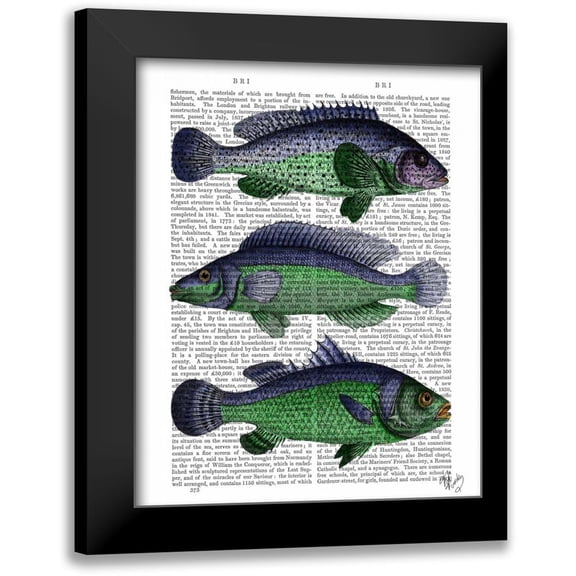 Fab Funky 12x14 Black Modern Framed Museum Art Print Titled - Blue and Green Fish Trio
