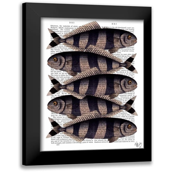 Fab Funky 12x14 Black Modern Framed Museum Art Print Titled - Five Striped Fish