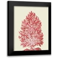 thumbnail image 1 of Fab Funky 12x14 Black Modern Framed Museum Art Print Titled - Red Corals 1 d, 1 of 5
