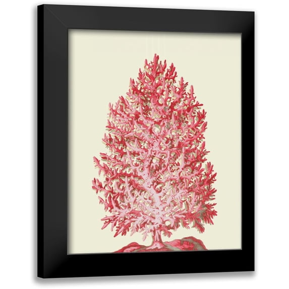 Fab Funky 12x14 Black Modern Framed Museum Art Print Titled - Red Corals 1 d