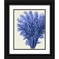 thumbnail image 1 of Fab Funky 12x14 Black Ornate Wood Framed with Double Matting Museum Art Print Titled - Blue Corals 2 a, 1 of 4