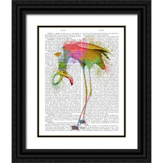 Fab Funky 12x14 Black Ornate Wood Framed with Double Matting Museum Art Print Titled - Rainbow Splash Flamingo 4