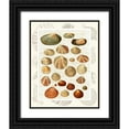 thumbnail image 1 of Fab Funky 12x14 Black Ornate Wood Framed with Double Matting Museum Art Print Titled - Shells on Vintage Script, 1 of 4