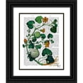 thumbnail image 1 of Fab Funky 12x14 Black Ornate Wood Framed with Double Matting Museum Art Print Titled - Squash Vine 2, 1 of 4