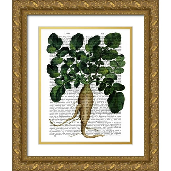 Fab Funky 12x14 Gold Ornate Wood Framed with Double Matting Museum Art Print Titled - Parsnip 1