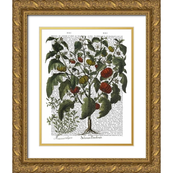 Fab Funky 12x14 Gold Ornate Wood Framed with Double Matting Museum Art Print Titled - Peppers 2