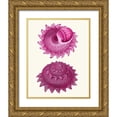 thumbnail image 1 of Fab Funky 12x14 Gold Ornate Wood Framed with Double Matting Museum Art Print Titled - Pink Shells b, 1 of 4