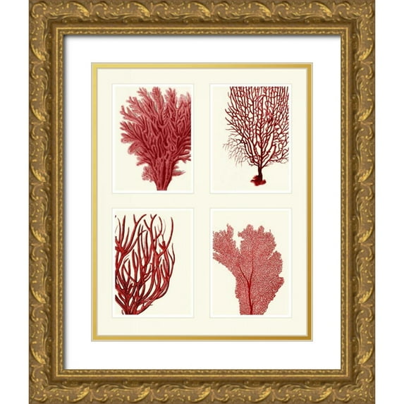 Fab Funky 12x14 Gold Ornate Wood Framed with Double Matting Museum Art Print Titled - Red Coral Print on 4 Panels