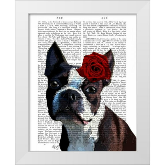 Fab Funky 12x14 White Modern Wood Framed Museum Art Print Titled - Boston Terrier with Rose on Head