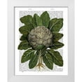 thumbnail image 1 of Fab Funky 12x14 White Modern Wood Framed Museum Art Print Titled - Cauliflower, 1 of 4