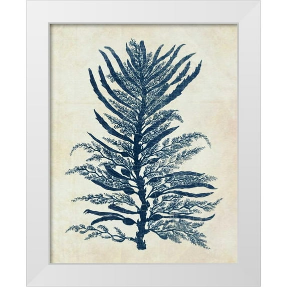 Fab Funky 12x14 White Modern Wood Framed Museum Art Print Titled - Indigo Blue Seaweed 1 b