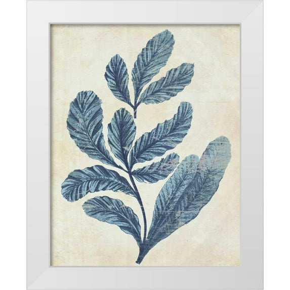 Fab Funky 12x14 White Modern Wood Framed Museum Art Print Titled - Indigo Blue Seaweed 2 a