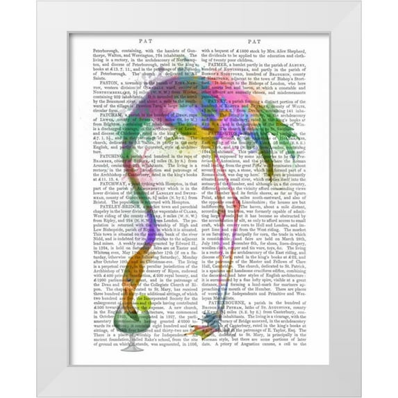 Fab Funky 12x14 White Modern Wood Framed Museum Art Print Titled - Rainbow Splash Flamingo 3