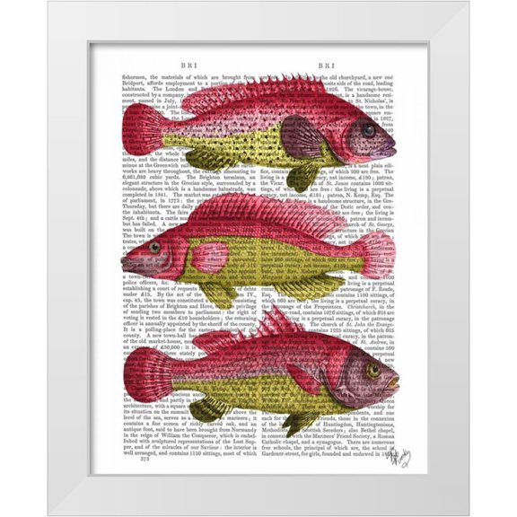 Fab Funky 12x14 White Modern Wood Framed Museum Art Print Titled - Red and Yellow Fantasy Fish Trio
