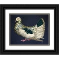 thumbnail image 1 of Fab Funky 14x12 Black Ornate Wood Framed with Double Matting Museum Art Print Titled - Butterfly Dove, 1 of 4