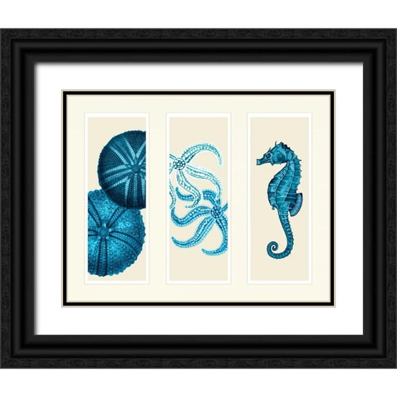 Fab Funky 14x12 Black Ornate Wood Framed with Double Matting Museum Art Print Titled - Three Panel Print Sea Urchin Starfish and Seahorse in Blue