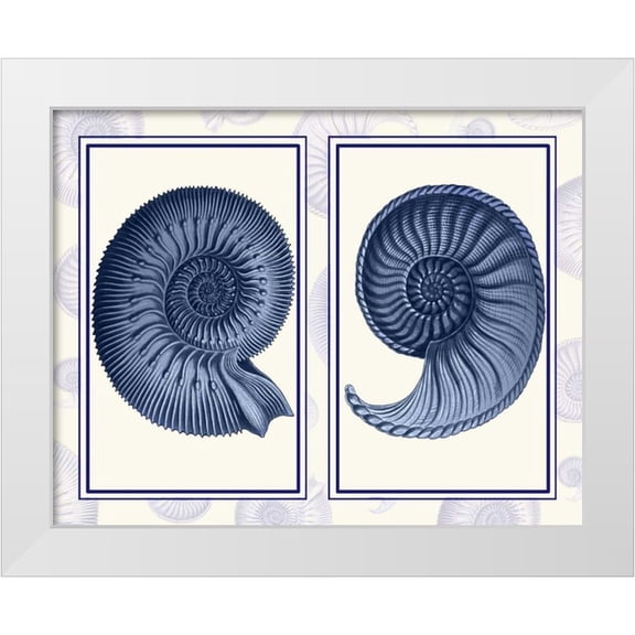 Fab Funky 14x12 White Modern Wood Framed Museum Art Print Titled - Nautilus Shells Indigo Blue