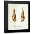 thumbnail image 1 of Fab Funky 15x18 Black Modern Framed Museum Art Print Titled - French Shell Print b, 1 of 5