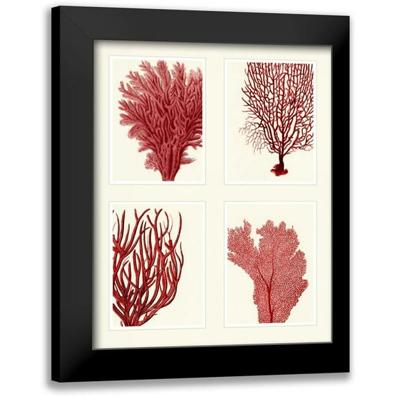 Fab Funky 15x18 Black Modern Framed Museum Art Print Titled - Red Coral Print on 4 Panels