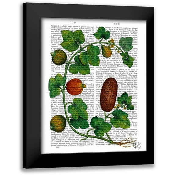 Fab Funky 15x18 Black Modern Framed Museum Art Print Titled - Squash Vine 3