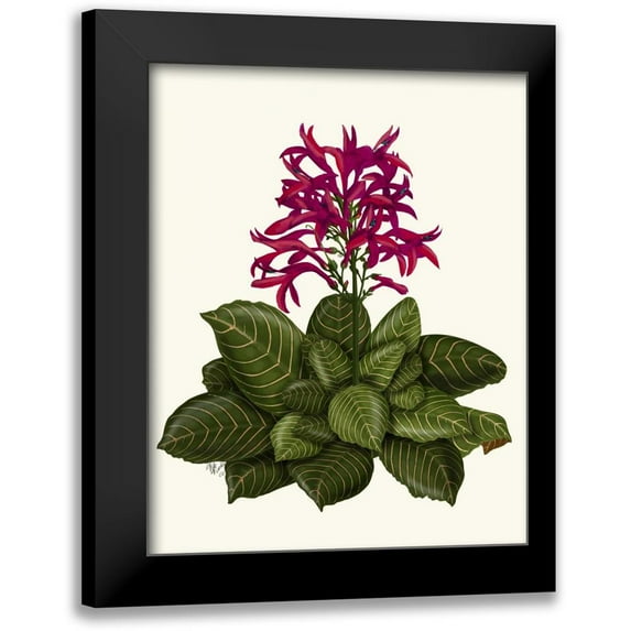 Fab Funky 15x18 Black Modern Framed Museum Art Print Titled - Tropical Flower 1