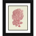 thumbnail image 1 of Fab Funky 15x18 Black Ornate Wood Framed with Double Matting Museum Art Print Titled - Corals Coral On Cream c, 1 of 4