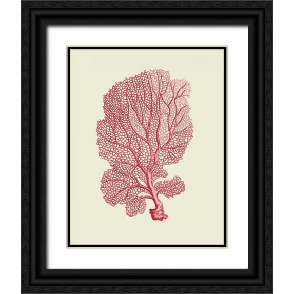 Fab Funky 15x18 Black Ornate Wood Framed with Double Matting Museum Art Print Titled - Corals Coral On Cream c