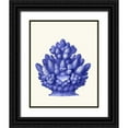 thumbnail image 1 of Fab Funky 15x18 Black Ornate Wood Framed with Double Matting Museum Art Print Titled - Haeckel Hexacoralla Coral Blue, 1 of 4