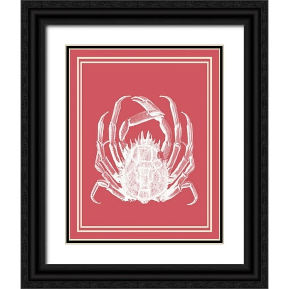Fab Funky 15x18 Black Ornate Wood Framed with Double Matting Museum Art Print Titled - Mixed Nautical White on Coral a